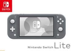 Nintendo Switch NINTENDO SWITCH LITE グレー