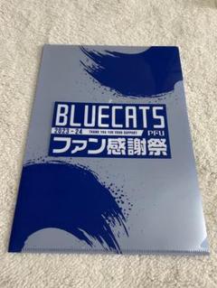 PFU BlueCats  細沼綾　サイン入り　ユニフォーム　　サイズ:4XL PFU BlueCats 細沼綾 サイン入り ユニフォーム サイズ:4XL