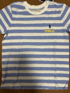 新品☆POLO 青白ストライプ 半袖Tシャツです。