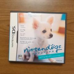 ニンテンドッグス　チワワ