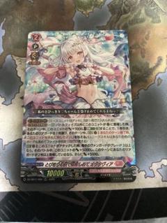 500円引き orrr6枚セット パンセ オクタヴィア ヴァラック