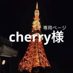 cherry☆購入前にコメントください様 リクエスト 2点 まとめ商品