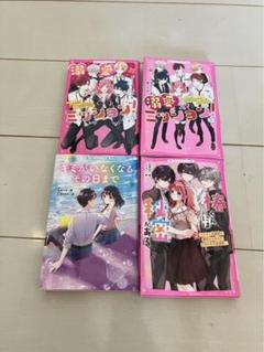 野いちごジュニア文庫4冊セット - メルカリ