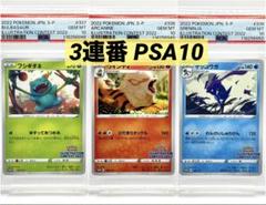 やさしいウィンディ　ars10 psa10 全ホロ 2025年最新】ウインディ psa10の人気アイテム - メルカリ