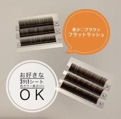 ブラウンフラットラッシュ