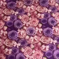 1M 秋新柄　紫ピンク色薔薇花柄りぼんシーチングプリント生地布地