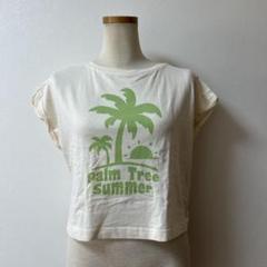 パームツリーサマーTシャツ アイボリー