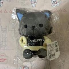 ピーハイ JOCHUM マスコット Amazon.co.jp: JOCHUM ピーハイ マスコット : おもちゃ