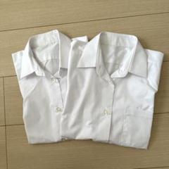半袖ブラウス　2枚セット