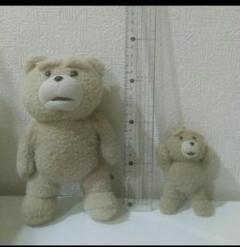 テッド ぬいぐるみ セット