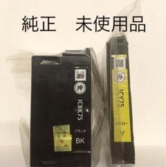 EPSON インクカートリッジ IC75 純正品