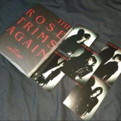 2024年最新】TOUR08 THE ROSE TRIMS AGAIN の人気アイテム - メルカリ 2024年最新】TOUR08 THE ROSE TRIMS AGAIN の人気アイテム - メルカリ