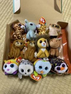 Ty ぬいぐるみ　セット BEANIE BOOSの製品一覧 | 製品情報 | Ty Japan
