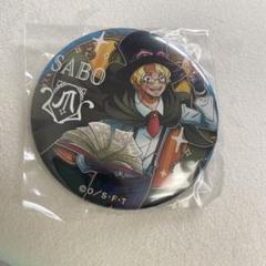 ワンピース サバイバルの海 輩 缶バッジ エース ルフィ サボ ASL 14個 ワンピース サバイバルの海 輩 缶バッジ エース ルフィ サボ ASL