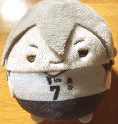 ハイキュー!! 木葉 ふわコロりん 6点セット グッズ-ぬいぐるみ】ハイキュー!! ふわコロりんBIG3 F：木葉