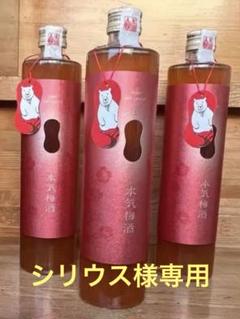 本気梅酒　500ml　期間限定発売品　3本　本気リキュール おとりよせ】 濃厚な果実感 本気リキュール 500ml×3本