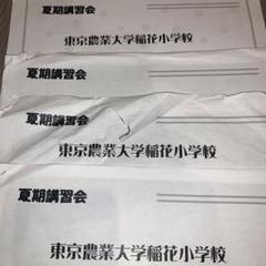 東京農業大学稲花小学校 理英会 夏期講習 プリント　12冊　内容表設問解答付き 東京農業大学稲花小学校 理英会 夏期講習 プリント12冊内容表