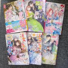 86冊 小説 まとめ売り ルルル文庫 ビーズログ文庫 ビーンズ文庫 アイリス文庫 86冊 小説 まとめ売り ルルル文庫 ビーズログ文庫 ビーンズ文庫