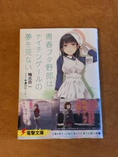 青春ブタ野郎はナイチンゲールの夢を見ない