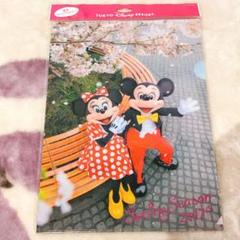 ミッキー ミニー 実写 桜 クリアファイル ディズニー 旧フェイス