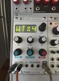 μBraids Mutable Instruments Clone 中古 il_fullxfull.1957224953_97cq.