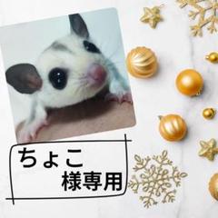 【超お買い得！】 K₋04オリエンタル酵母 モンキーフード4kg - メルカリ フード・おやつ