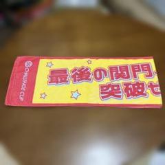 ボートレース　ピンクルサイン入りぬいぐるみ　武井莉里佳　神里琴音　競艇 5188 武井莉里佳（たけい りりか） | ボートレーサー（競艇選手