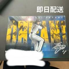 大谷翔平　日ハム時代　クリアファイル