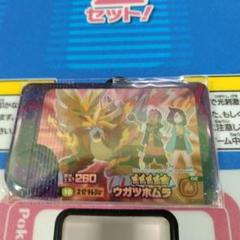 ポケモンフレンダ第４弾ウガツホムラ