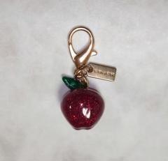 未使用　COACH シグネチャー　リンゴ型レザーキーホルダー　りんご　林檎 楽天市場】コーチ COACH キーホルダー レザー キャンバス リンゴ