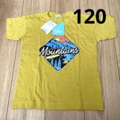 Branshes 速乾性 Tシャツ 120cm イエロー ブランシェス