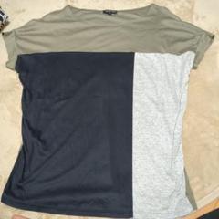 INDIVI 半袖Tシャツ サイズ38