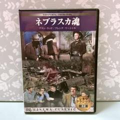 DVD ネブラスカ魂 アラン・ラッド 西部劇