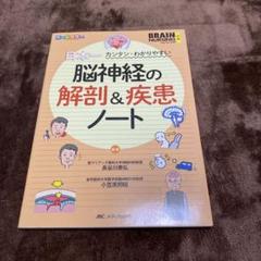 脳神経の解剖&疾患ノート