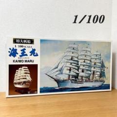 未使用 アオシマ 特大帆船 海王丸 1/100スケール No.2 2025年最新】アオシマ 海王丸の人気アイテム - メルカリ