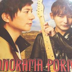 【初回生産限定盤】PANORAMA PORNO（DVD付き） 91jBHLNhOIL.jpg