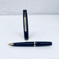 2025年最新】pilot elite 18kの人気アイテム - メルカリ