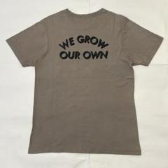 メキシコ製 Patagonia パタゴニア オーガニック コットン Tシャツ S