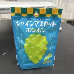 シャインマスカットボンボン 1袋 - メルカリ