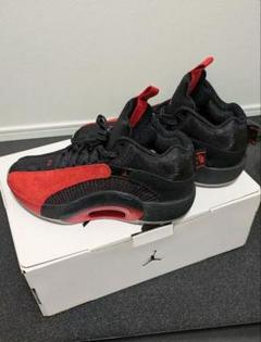 Air Jordan XXXV ジョーダン