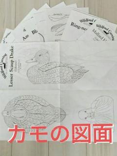 Wildfowl Carving 水鳥彫刻パターン集　　　バードカービング