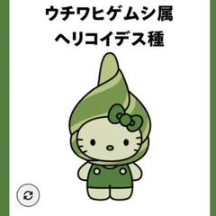 【24時間以内】 藻キティ ウチワヒゲムシ ピンバッチ　日本館　万博　グッズ