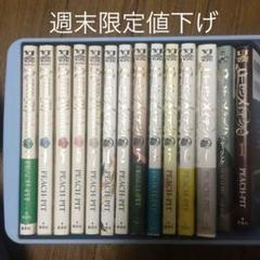 ローゼンメイデン コミック13冊+ノベル