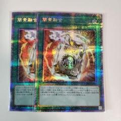 簡素融合 レトルトフュージョン プリズマ シークレット シク 2枚