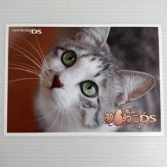 2025年最新】夢ねこの人気アイテム - メルカリ