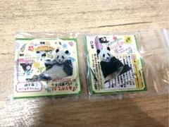 2025年最新】アドベンチャーワールド結浜の人気アイテム - メルカリ