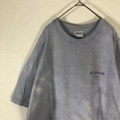 ヘインズ　tシャツ 半袖　バックプリント　アメリカ古着　XL 588