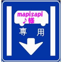mapisapi ♪様専用 A977