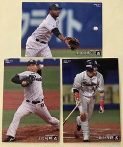 2025年最新】東京ヤクルトスワローズ坂口智隆の人気アイテム