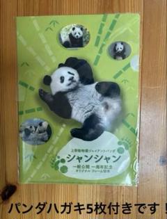 上野動物園シャンシャン 一般公開＆一周年記念 A4クリア
